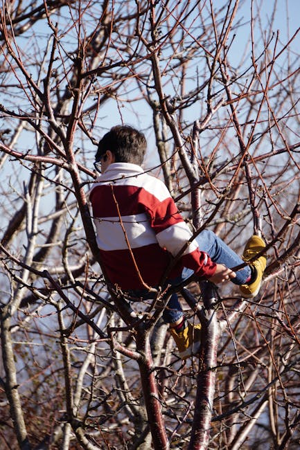 Vigtigheden af den rette drenge jakke til enhver anledning